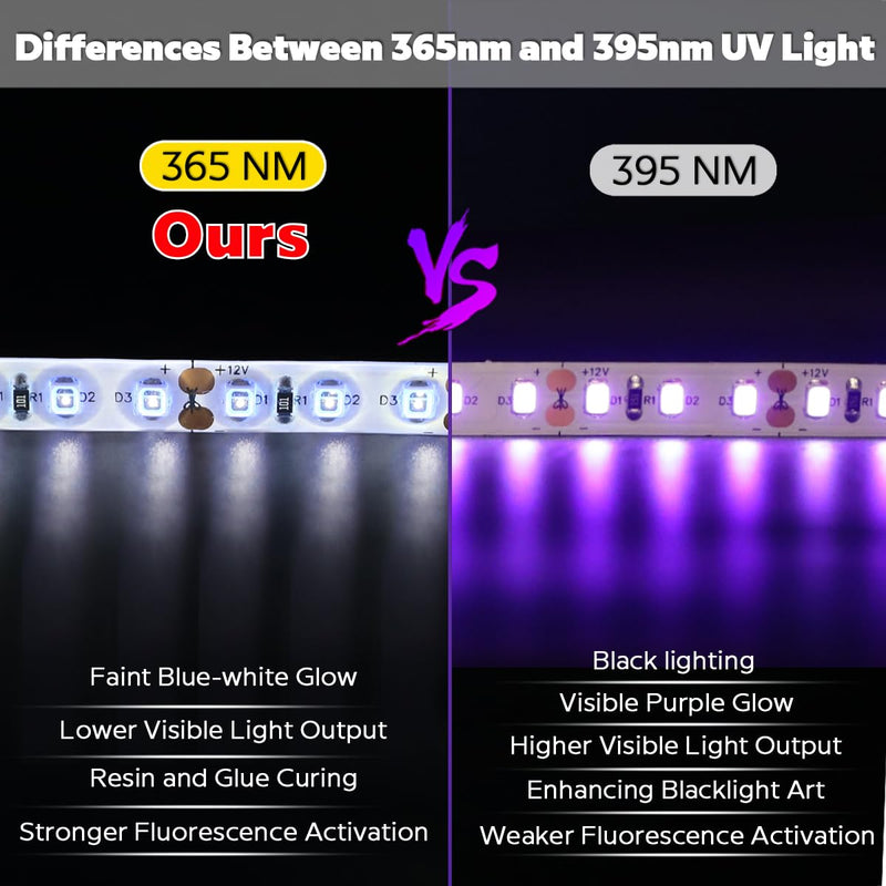 IP65 Waterproof 365nm Ultraviolet LED Strip Light, 12V 16.4FT 8MM High Density LED UV Black Light Strip for Fluorescence Detection and Glue Curing in Damp Environments (2835 600LEDs IP65) 2835 600LEDs IP65