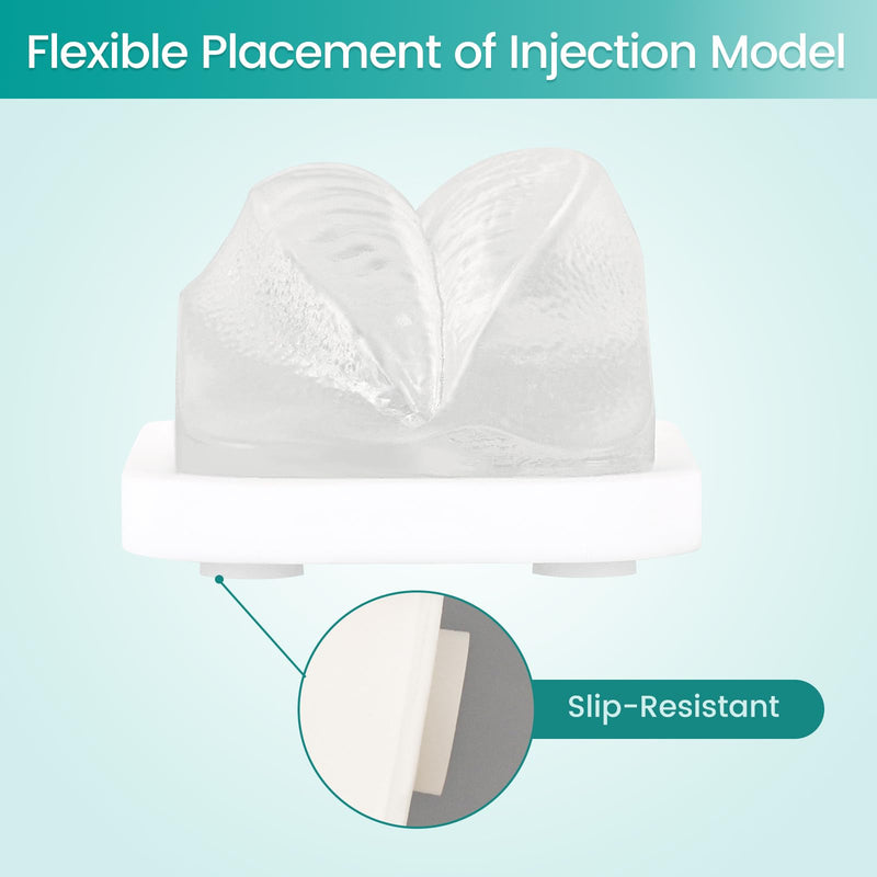 Transparent Facial Injection Lip Model, Facial Model for Injection and Filler Practice, Micro Plastic Surgery Teaching, Beautician Teaching, Injection Training for Medical Students Doctors
