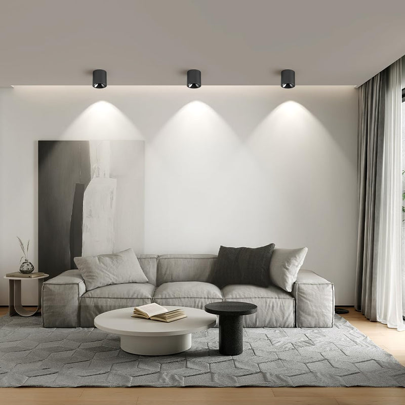 JAYMP Modern LED Ceiling Spotlight 4000K Dimmable 24W Black Surface Mount Cylinder Down Light for Living Room Hallway Lanudry Room 24W, 4000K Natural Light
