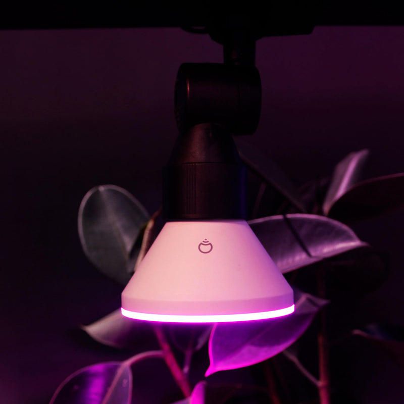 LIFX Smart Flood Light Bulb PAR38 E26 (1 Pack), Color Changing RGB + Warm White 1600 Lumens 150W Equivalent Tunable LED, 90+ CRI, Matter Compatible, Apple HomeKit, Alexa & Google Home Dimmable
