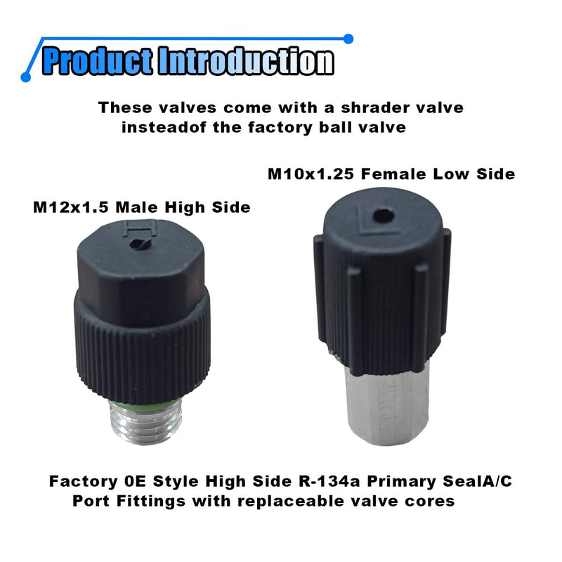 17PCS Car Air Conditioning Valve Core Kit, R12 R134A Teflon Seal Cap Valve Kit with Removal Tool for High Low-Pressure A/C Service Port, Car & HVAC AC Refrigerant Tool Black