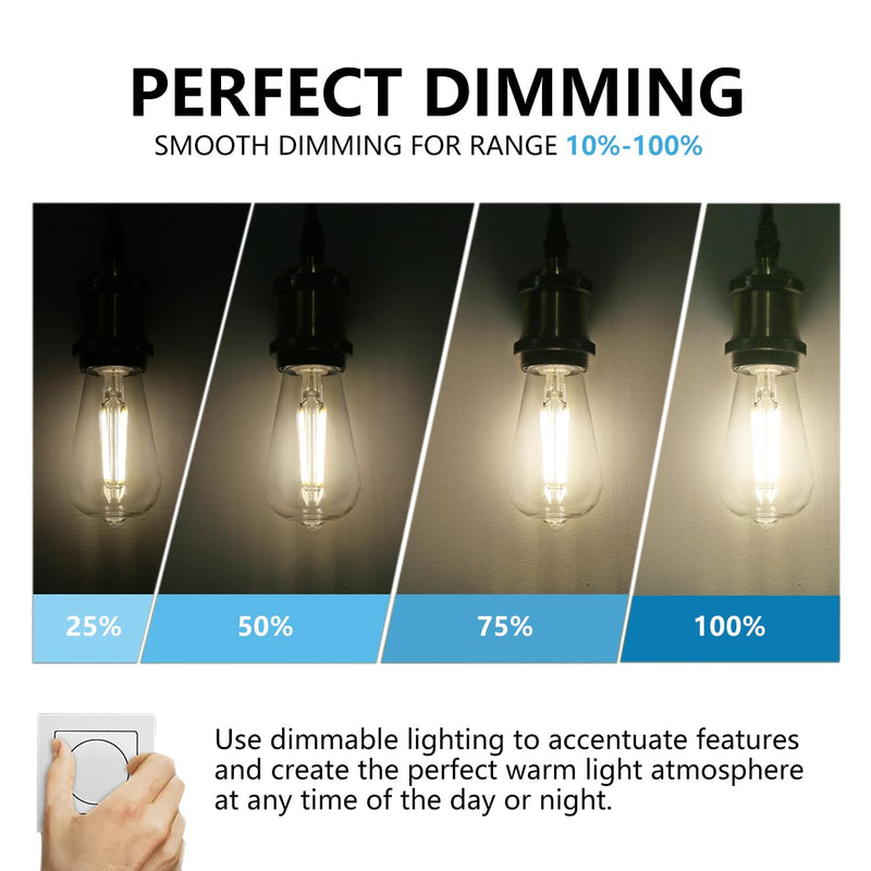 BORT ST58/ST19 Vintage LED Edison Bulbs, 6W Equivalent 60W Filament Light Bulbs, Dimmable 700LM, E26 Base LED Bulbs, Clear Plastic (Daylight White, 12 Pack) Daylight White
