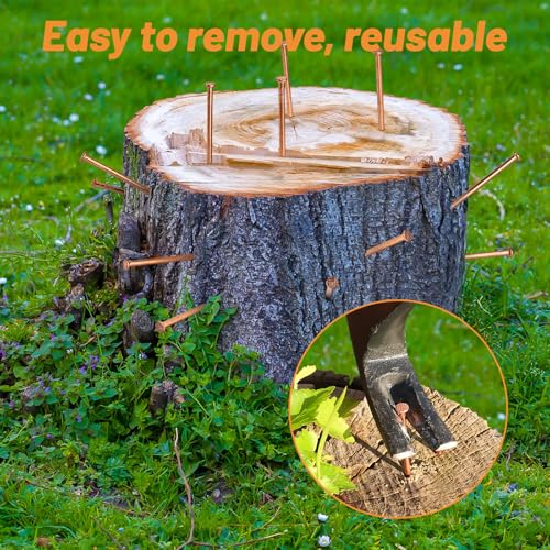 Pack 20 Copper Nails for Killing Trees Stump Root, 4" Copper Nails with Drill, Stump Removal Spikes Hardware Nails for Trees 4" -20pcs
