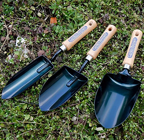 Garden Helper Soil Scoop Garden Tool, Large Loose Soil Scooper Tool for Transplanting and Gardening, Heavy Duty Japanese Steel Balde, Wood Handle, Made in Japan