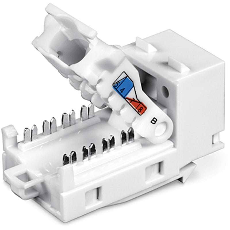 TRENDnet Cat6 RJ45 Keystone Jack 50-Pack Bundle, TC-K50C6, Compatible with Cat5/Cat5e/Cat6 Cabling, Use with The TC-KP24 or TC-KP48 Blank Keystone Patch Panels(Sold Separately) White