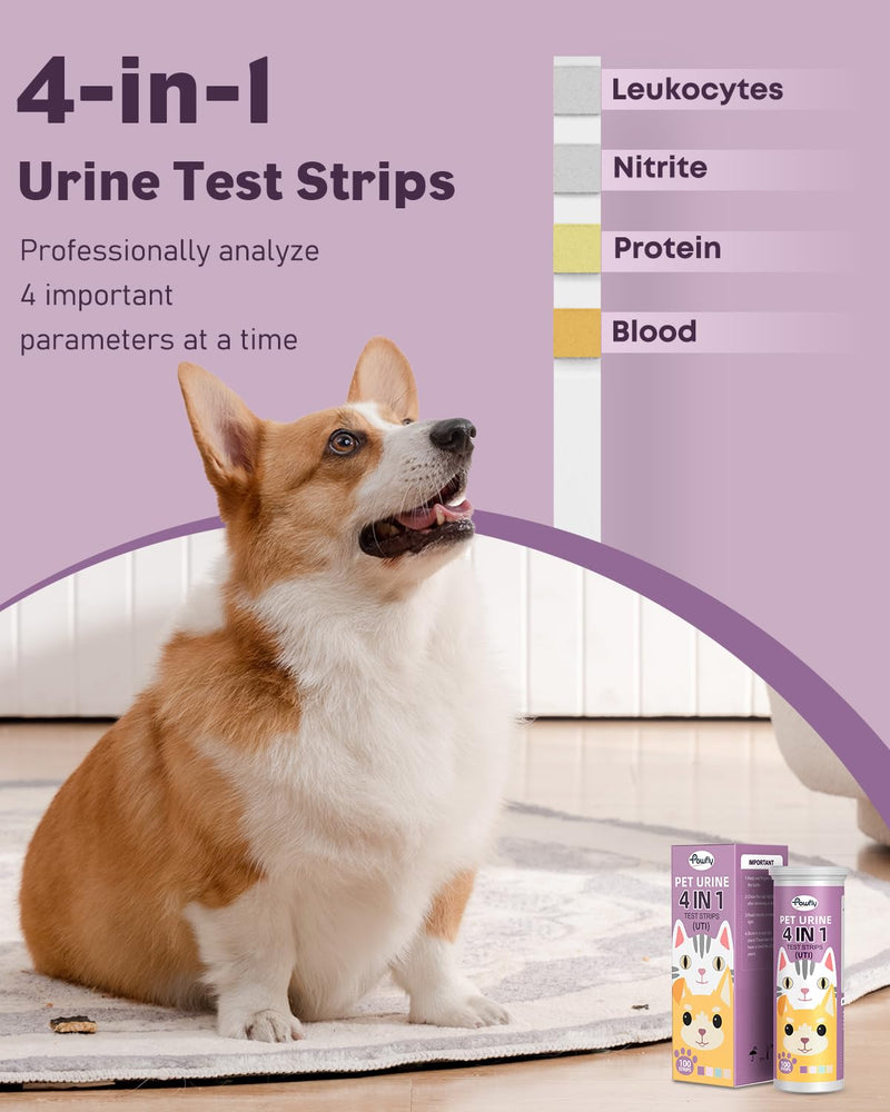 Pawfly Urine Test Strips for Dogs & Cats, 100 Strips, 4 in 1 Pet Urine Testing Strips for Leukocytes, Nitrite, Protein & Blood, UTI Test Strips, Urinalysis Test Strips for Vets