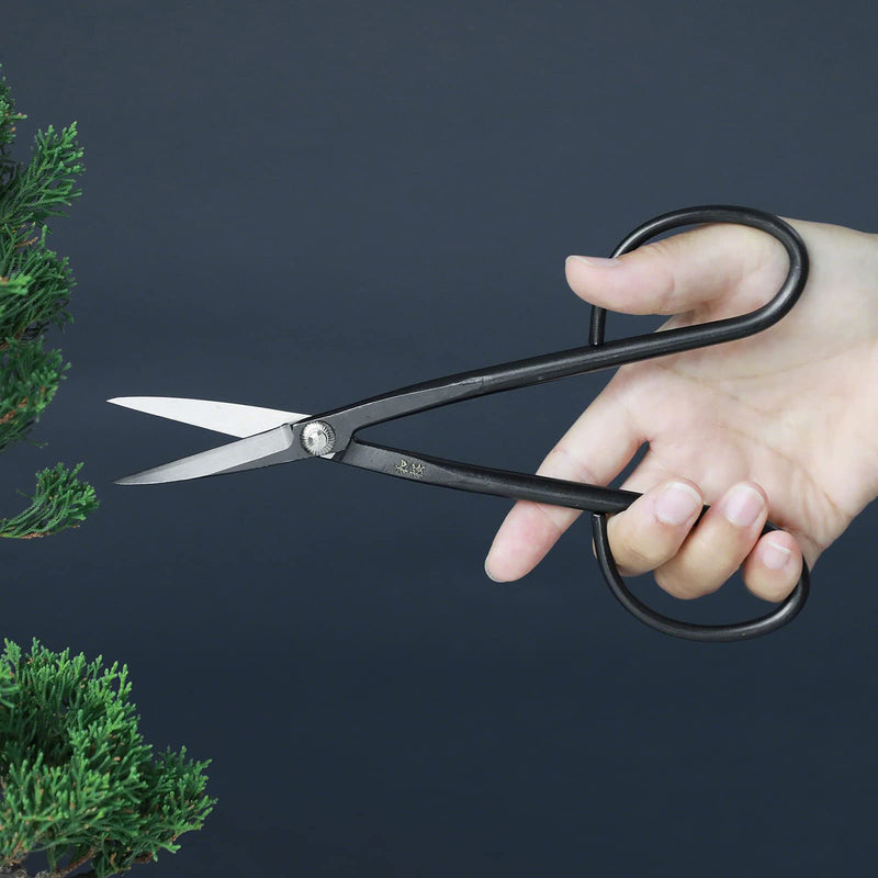 Wazakura Yasugi Steel Series Twig Bonsai Scissors Made in Japan 8-1/4inch (210 mm), Japanese Garden Snip Tools, Flower and Herb Trimming Shears - Yasugi Steel Twig Scissors