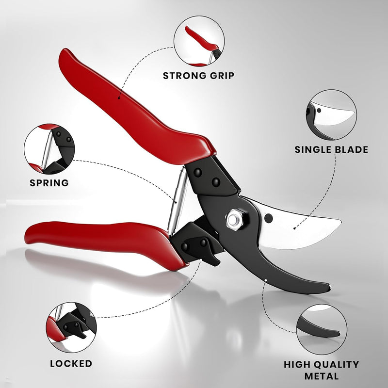 Pruning Shears – 8.9” Heavy Duty Gardening Scissors, Professional Bypass Pruners for Gardening, 1” Cut Capacity, Sharp Garden Clippers for Plants, Branches & Flower CLASSIC MAJOR 1.0