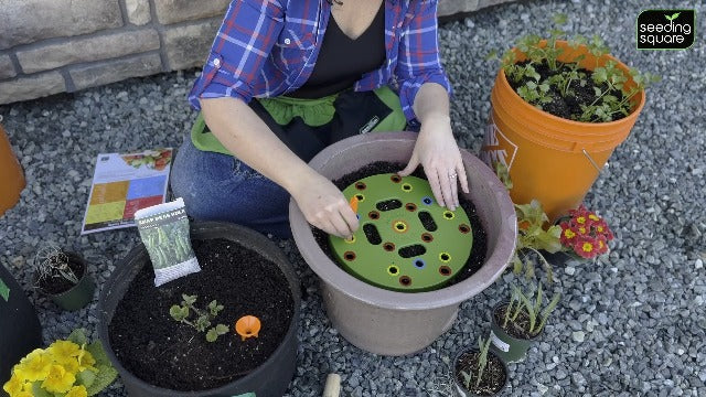 Seeding Circle Seed Spacing Tool for Pots, Buckets & Container Gardening