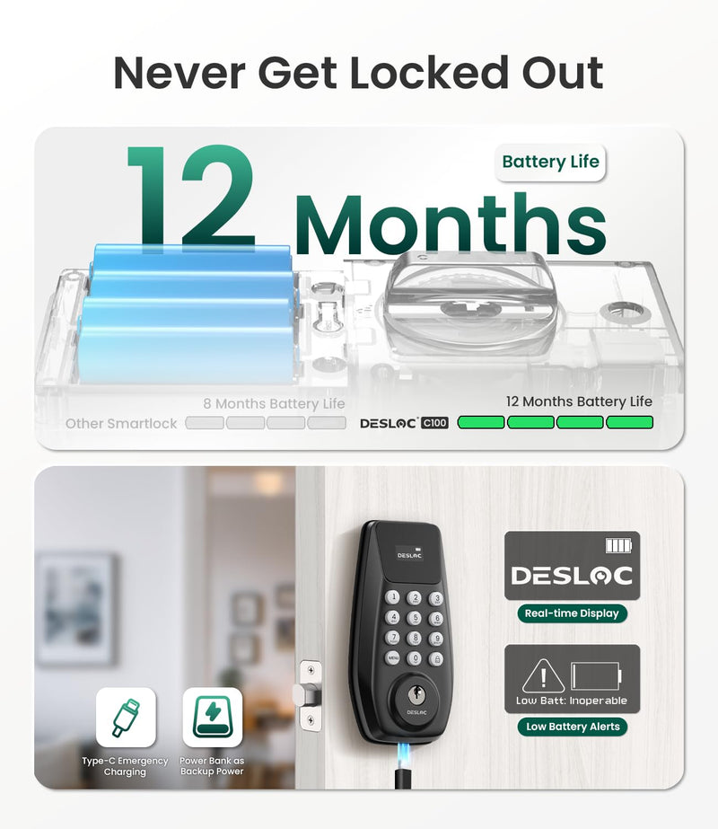 DESLOC C100 Keyless Entry Door Lock with Visual Display, 100 Customizable User Codes and 4 One-Pass Code, Door Locks for Front Door with 2 Keys,12 Months Battery, IP54, BHMA Grade 3, Auto Lock, Black Kepad