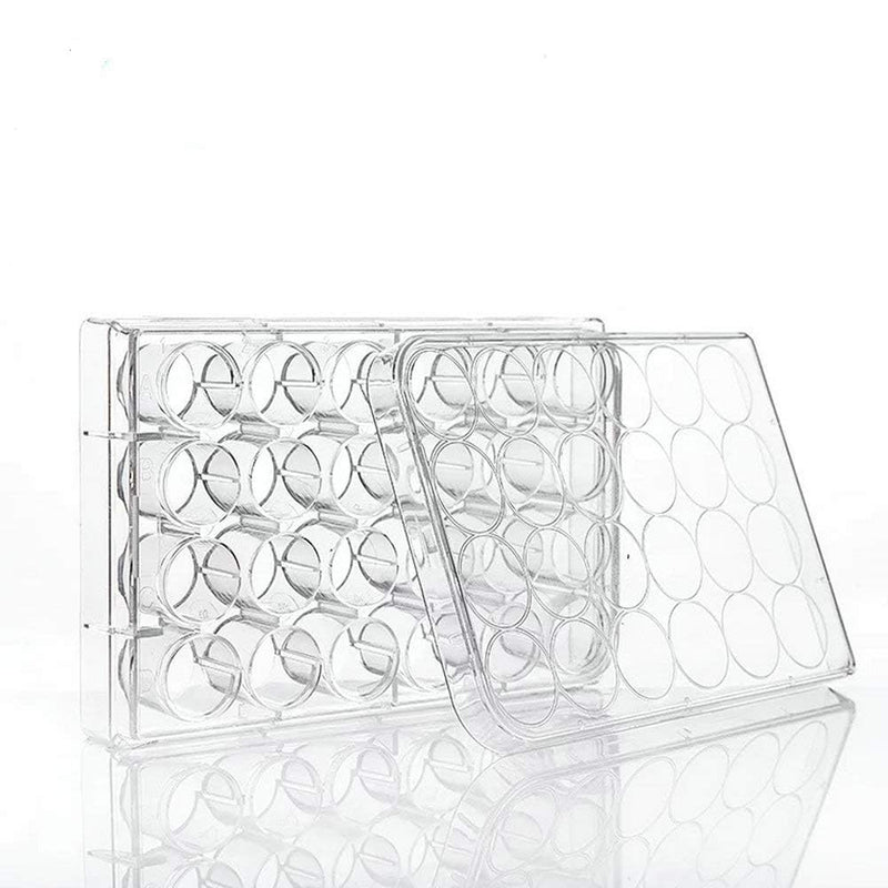 United Scientific™ F1004 Non-Sterile Polystyrene Well Pate | 24 Wells | Desinged for Laboratory, Classroom, or Home Use | Pack of 10