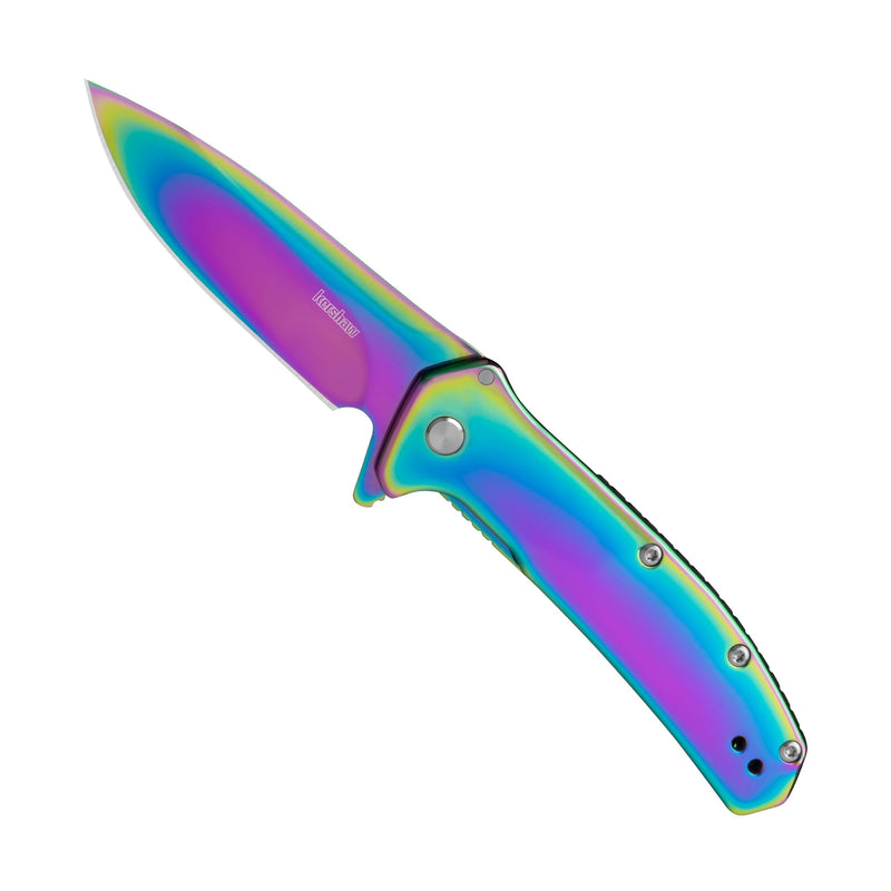 Kershaw Outcome Pocket Knife, Silver, 2.8 Inch Stainless Steel Drop Point Blade, EDC with Assisted Opening, Reversible Pocketclip, Everyday Carry Pocket Knife for Men and Women Rainbow