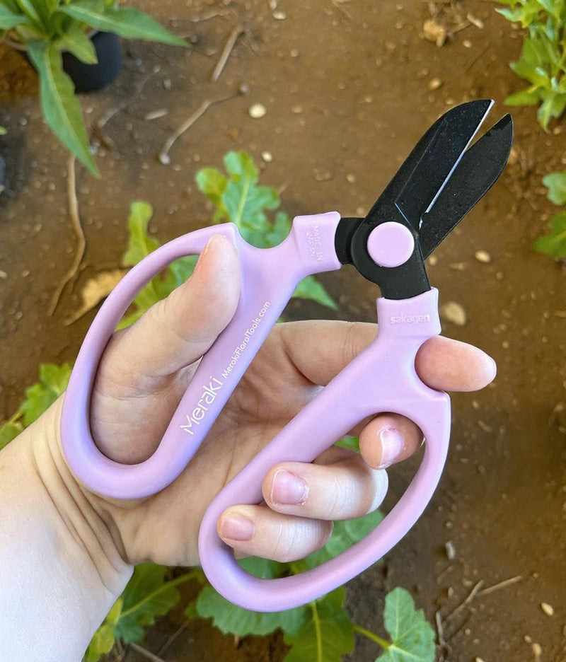 Garden Pruning Shears Scissors Carbon Steel Blades 6.7 In, Snapdragon - Lavender 6.7 inch Lavender