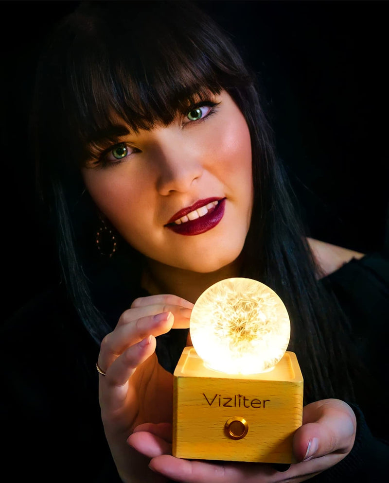 Vizliter Bluetooth Speaker Crystal Ball 65mm LED Lighting Premium Preserved Natural Flower with Wood Base Never Withered Eternal Night Light Audio Portable (Dandelion) Dandelion