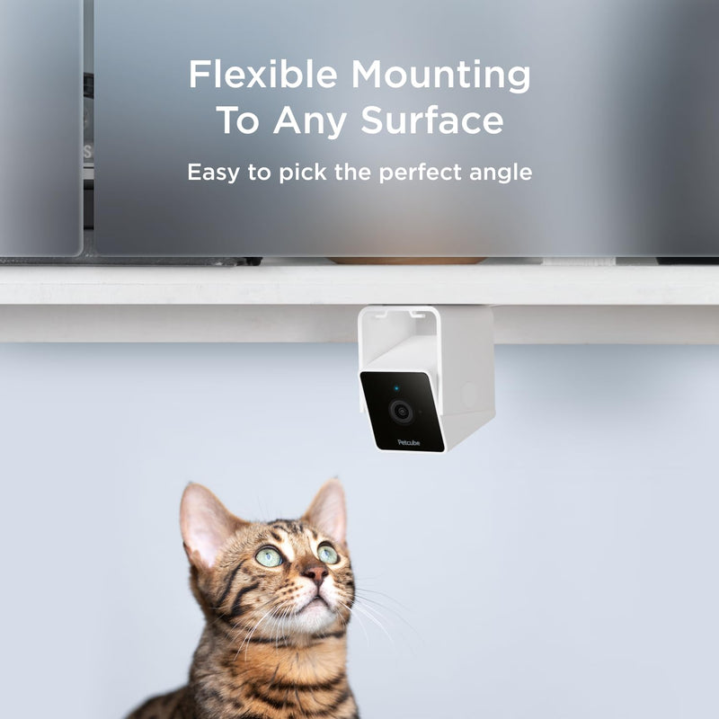 Petcube Cam The Pack of 3 | Indoor Wi-Fi Pet Security Camera with Phone App, 2-Way Audio and Video, Night Vision, 1080p HD Video and Smart Alerts Cam - pack of 3 Cameras