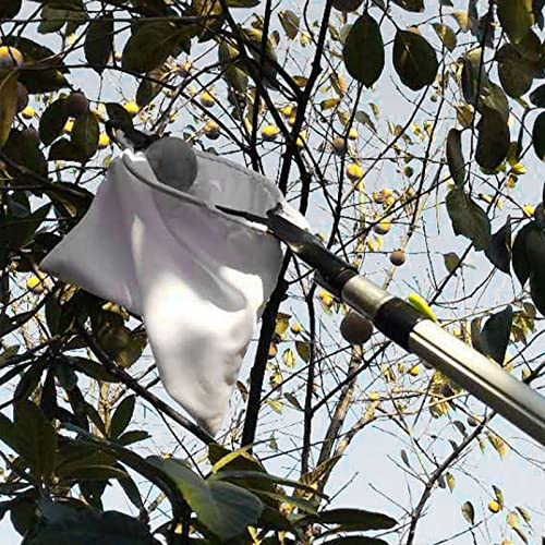 Aramox Tungsten Steel Fruit Picker with Large Harvest Basket V Shaped Blades Non Woven Fabric Bag for Apples Oranges Pears Nuts Mangoes Home Farm Garden