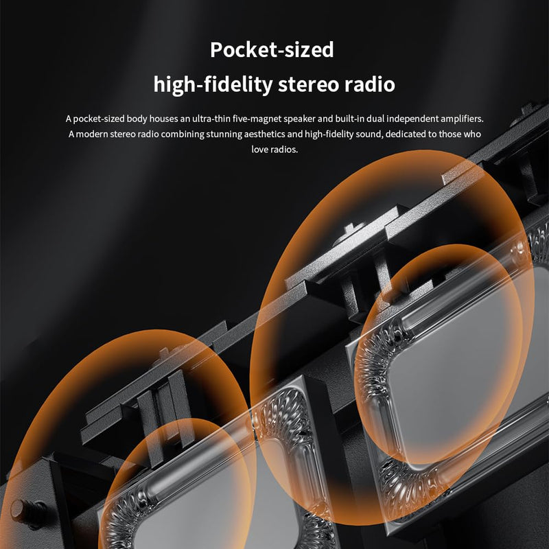FIIO RR13 Portable FM Radio, Rechargeable Pocket Radio with Built-in Speaker, Analog Tuning Dial, FM 76-108MHz Reception, Replaceable Battery and External Antenna Silver