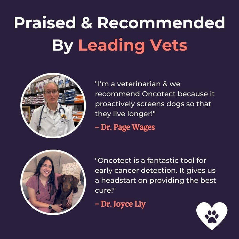 Essential Dog Cancer Screening Test Kit, Easy to Use Cancer Screening, Affordable Non-Invasive Urine-Based Test, Works On All Dog Breeds and Ages