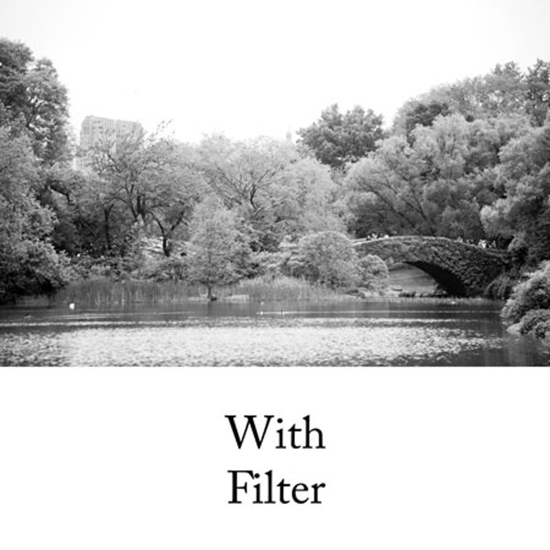 HOYA HMC K2 49mm Lens Filter (Yellow)– Tonal Enhancing Camera Filter for B&W Photography with Slim Aluminum Frame, Multi-Coated Optical Glass, Reduces Flare & Ghosting, Improves Contrast & Clarity Yellow