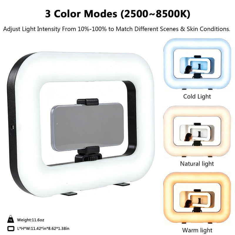 Cell Phone Video Light,Smartphone Camera Ring Light Video Rig with Phone Holder,Handheld Video Stabilizer Rig for Vlogging Video Recording