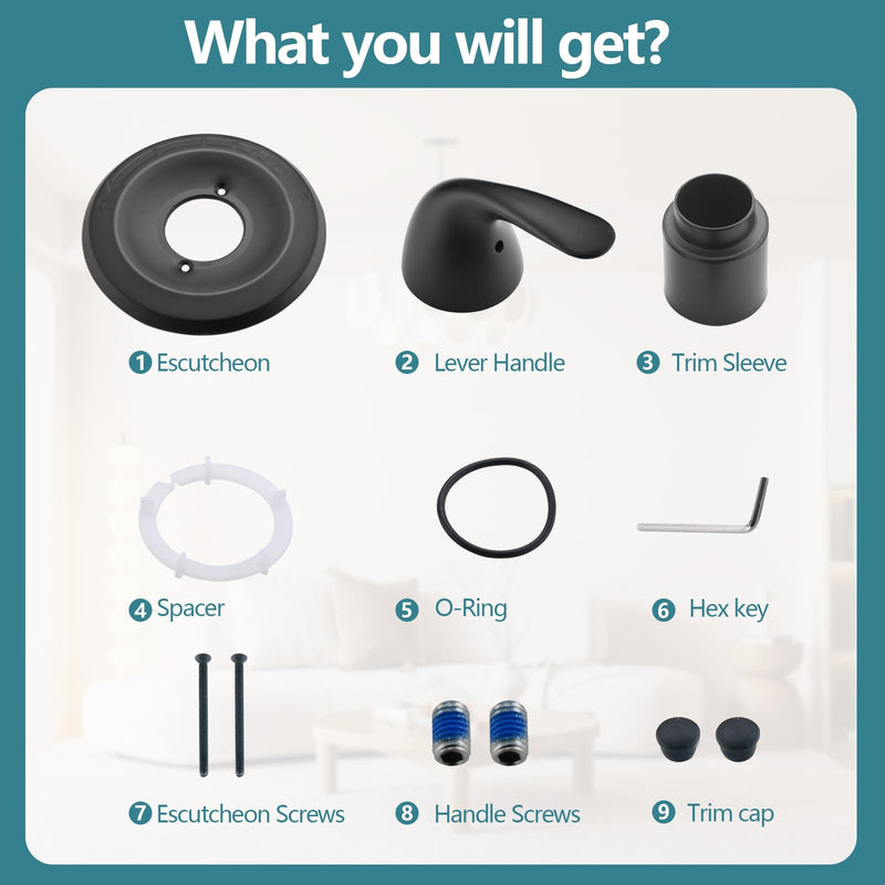 Shower Trim Kit Compatible with Delta 13/14 Series, Shower Cover Plate with Handle, Matte Black(Valve& Catridge Not Inclued)