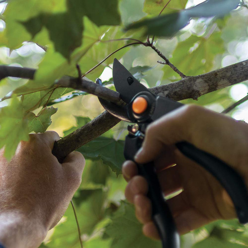 Fiskars Professional Bypass Pruning Shears 1 PACK
