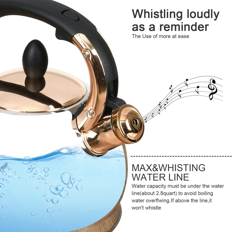 Stainless Steel Whistling Tea Kettle with Metal Capsulated Bottom for Quick Heat Distribution 2.8 Quart 3 Quarts Silver001