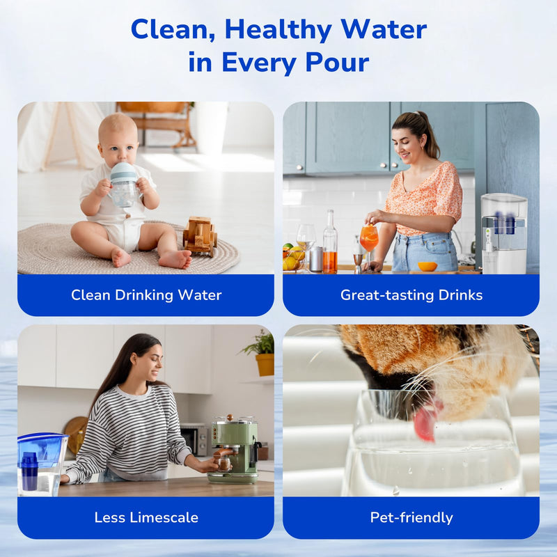 Fil-Fresh 6-Pack PURWater Filter Replacement, PURPlus Water Pitchers and Dispensers, Replace PPF900Z, NSF Certified, Advanced Version 6 Filters