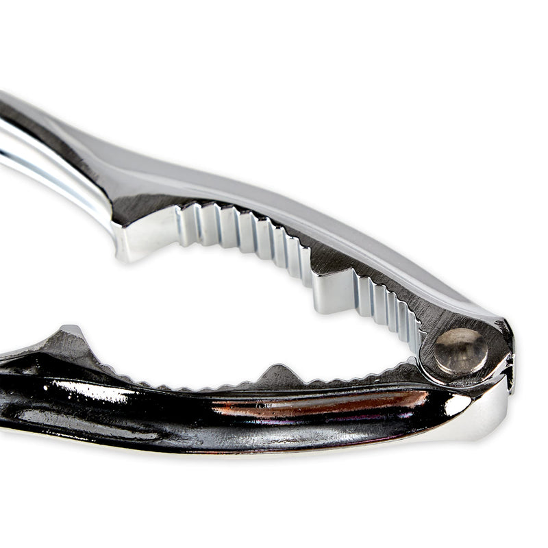 RSVP International Endurance Collection Seafood Tool, Cracking Tools, 8 Piece, Stainless Steel