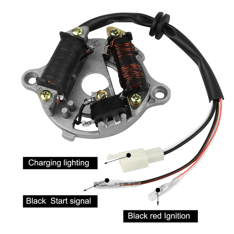 FLYPIG Magneto Ignition Stator Assembly for Yamaha PY50 PW50 Y-Zinger Peewee50 QT50 Motorbike 1981-2014