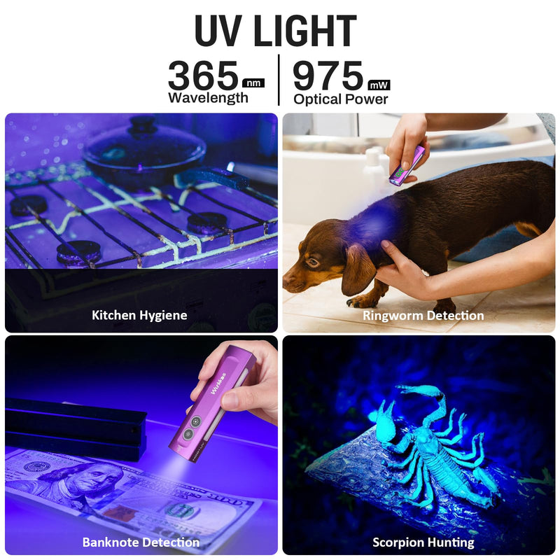 Wurkkos HD01 UV Flashlight, Rechargeable EDC Flashlight, Led Flashlight with 365nm UV Light, 1200 Lumens Flat Flashlight with RGB, Pocket Light for Emergency, Pet Urine Detection(Purple) Purple
