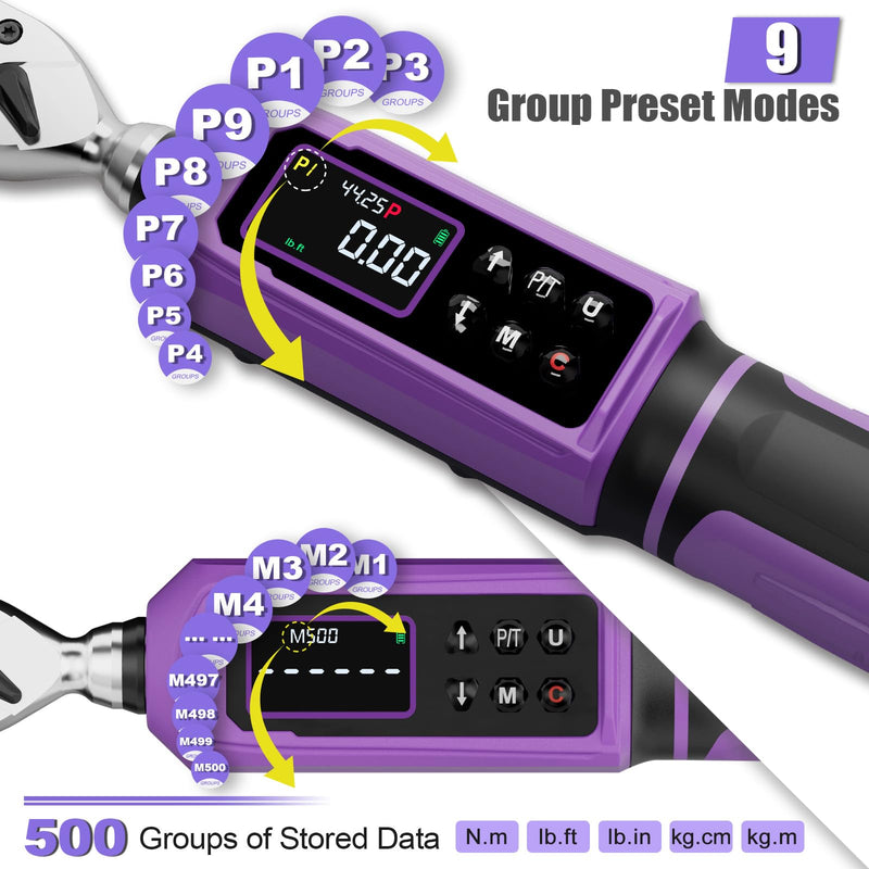 ANPUDS Digital Torque Wrench, ±1% Accuracy, 0.66-44.25 Ft-lb | 3/8 Drive Dual Direction Ratchet Electric Torque Wrench, Vibration/Buzzer/LED Flash Alert, for Bike Motorcycle & Automotive