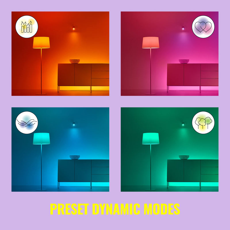 Bundle of WiZ Indoor Security Camera, 1080p HD Video with Motion Detection and Full-Duplex Audio and WiZ Connected 2-Pack Color 60W A19 Smart WiFi Light Bulb, No Hub Required