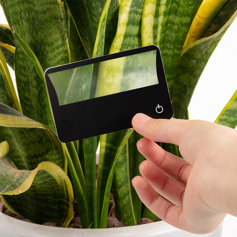 Frienda 20 Pcs Credit Card Magnifier Bundle Wallet Purse Magnifying Glass LED Illuminated Magnifier 3X Pocket Card (Black) Black