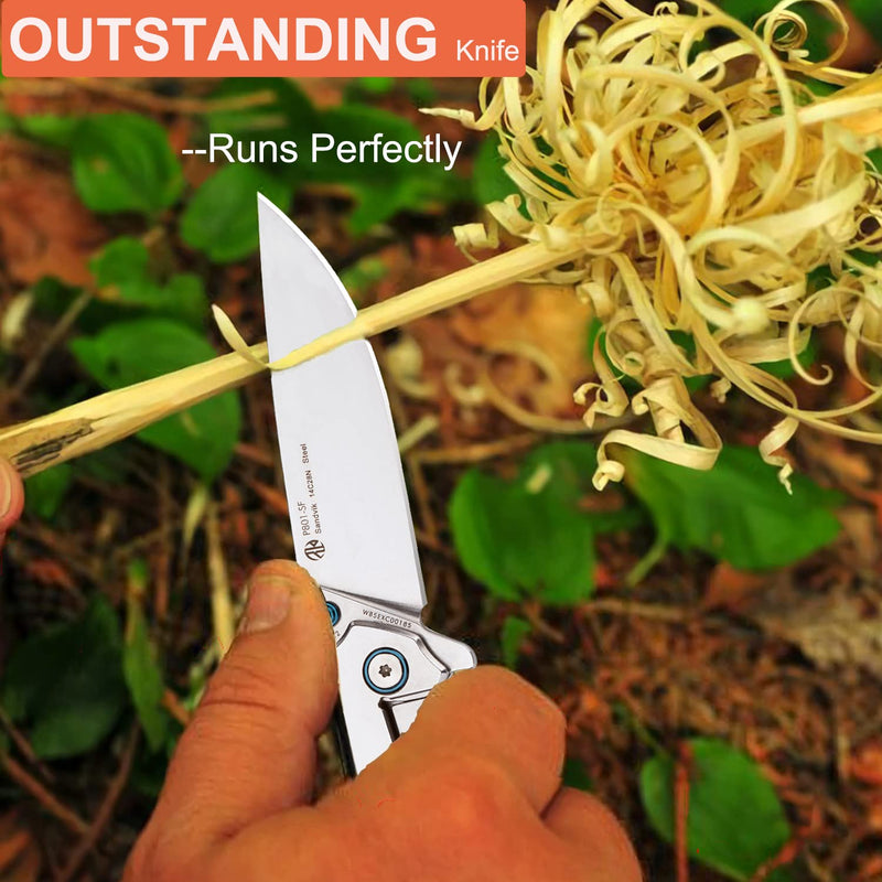 Ruike Tactical Folding Pocket Knife for men,14C28N Stainless Steel Blade,Frame Lock,EDC Small Camping Knives Belt Clip Carry,Lightweight Survival Flipper Microtech Elemental Fishing Gear Tool 3.4"