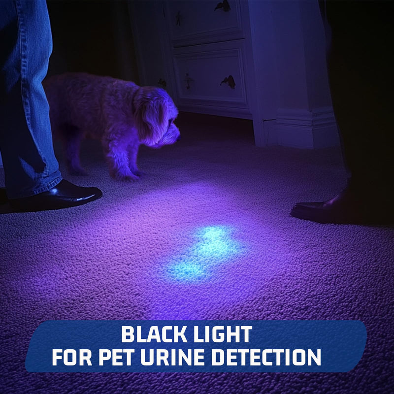 S3U UV Flashlight Blacklight, Rechargeable Powerful Handheld UV Light for Resin Curing, Pet Urine & Scorpion Detection, Rocks & Minerals Hunting (365NM) 365NM