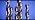 Drill America 1-1/2" Reduced Shank High Speed Steel Black & Gold Contractor Drill Bit with 3-Flat 1/2" Shank, KFD3F Series 1-1/2"