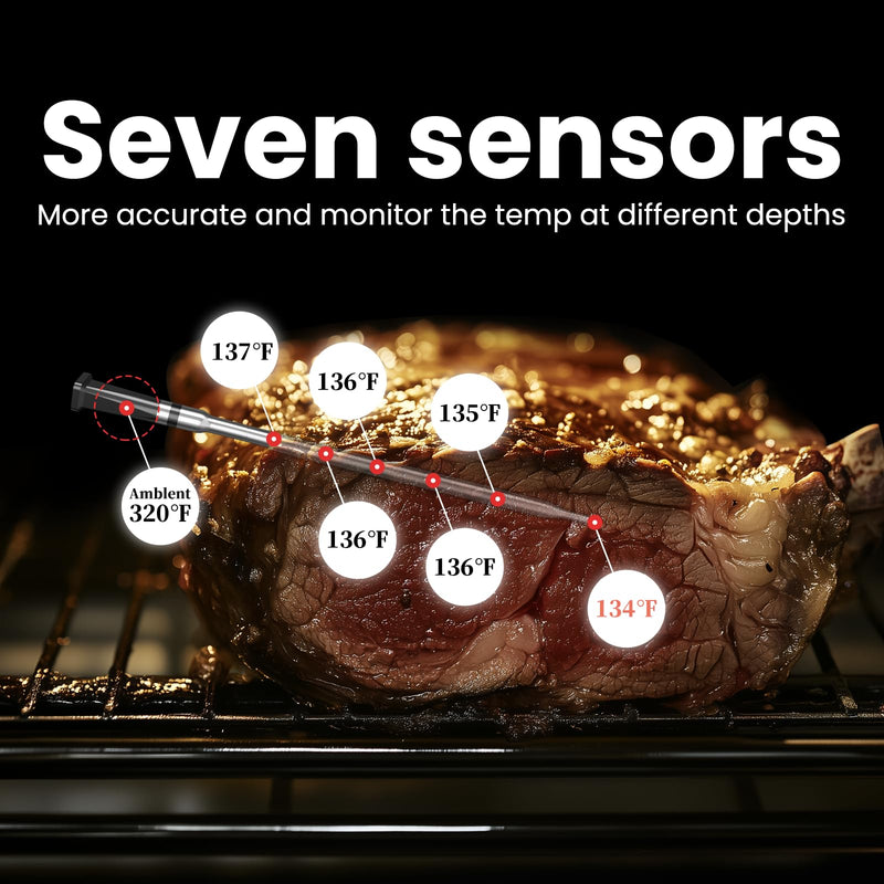 WiFi Wireless Meat Thermometer (1, Black, Small) 1