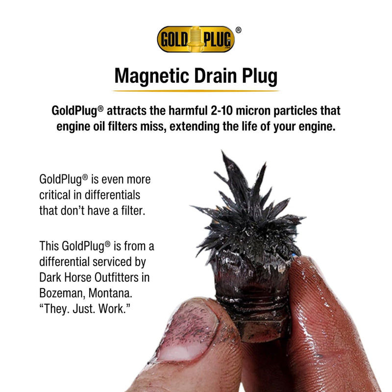GoldPlug | Made in USA | Stainless Magnetic Drain Plug | Fits Most Honda Motorcycles | M12x1.5 | MP01 | SW03 Washer Included | M12x1.5-MP01