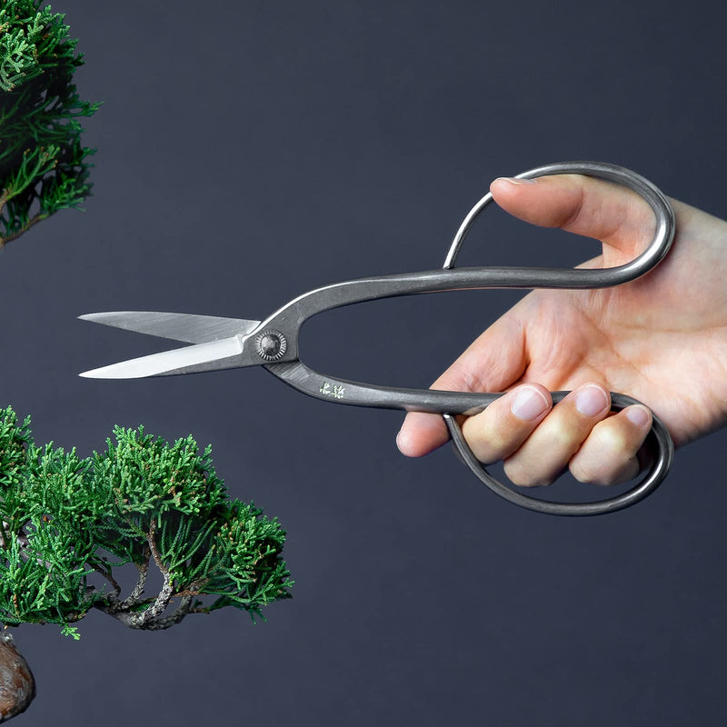 Wazakura Yasugi Stainless Steel Made in Japan Ashinaga Bonsai Scissors 8" (200 mm), Pruning Shears, Japanese Gardening Tools - Yasugi Stainless Steel Traditional Ashinaga