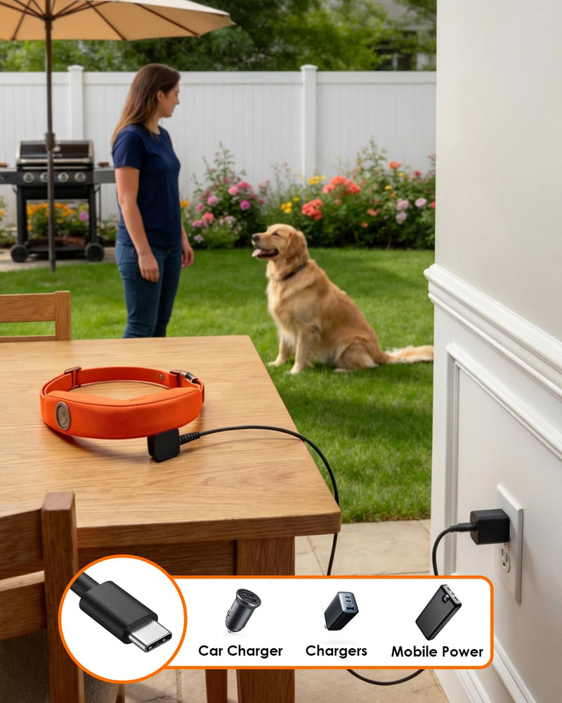 Magnetic Tyce-C Charging Cable, Replacement Charger Cord Compatible with Halo Collar 4 5, Dog GPS Fence Collar 2 pack