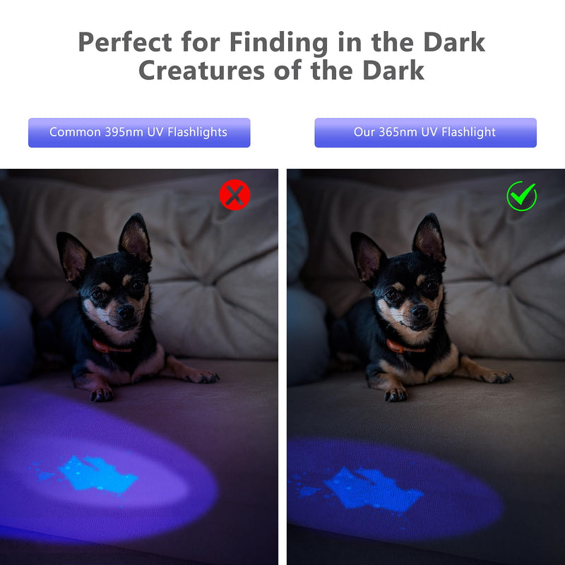 XLENTGEN 365nm High Power Black Mirror UV Light Detection Flashlight, UV Blacklight Light USB Rechargeable, Pet Urine Detector, Resin Curing, Blood Tracking, Appraisal, Fluorescent Detection