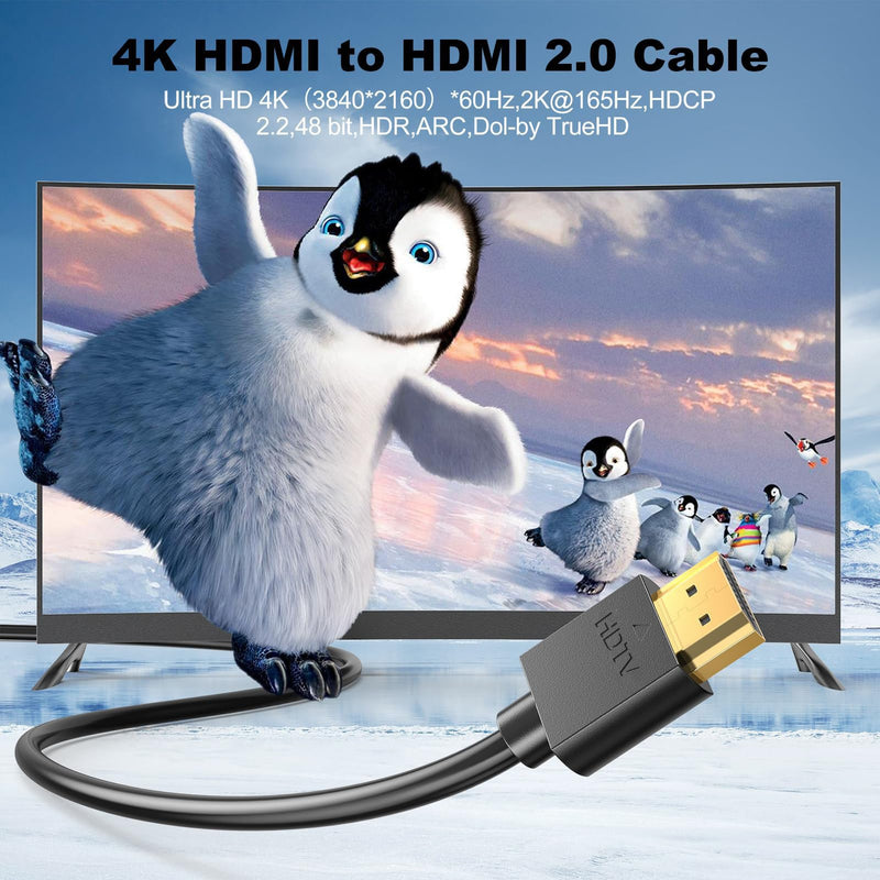 HDMI Cable 6FT 10-Pack, 4K HDMI to HDMI Cable 6FT Multi-pack,Shielded HDMI 2.0 Cord 6 FT with 4K@60Hz,2k@165/144Hz,HDCP 2.2, HDR, ARC & CL3 Rated | for Laptop, Monitor, TV PS5, PS4, Xbox, Soundbar Black