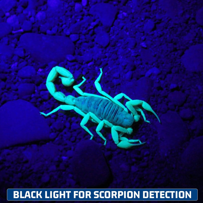 S3U UV Flashlight Blacklight, Rechargeable Powerful Handheld UV Light for Resin Curing, Pet Urine & Scorpion Detection, Rocks & Minerals Hunting (365NM) 365NM