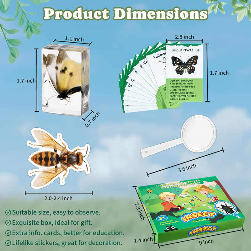 12 PCS Real Insect Resin Specimen, Science Education Bug Collection | Preserved Butterflies & Beetles, Stickers & Knowledge Cards, Kids Gift for Preschool Classroom Learning & Oddities Collectors