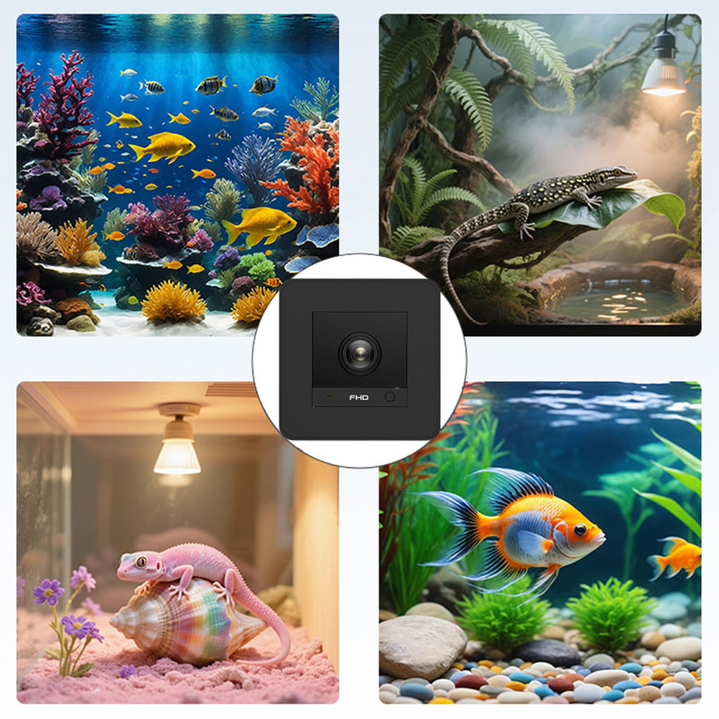 Aquarium Camera, 2K HD for Fish, Lizard, Reptiles Terrarium, 140° Wide-Angle with Anti-Glare, Night Vision, WiFi Pet Camera with AI Motion Detection, 2-Way Audio, 24/7 Cloud/SD Recording S20M1 (Black) Black