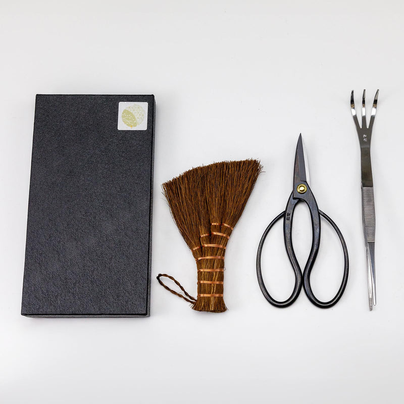 Wazakura Japanese Bonsai Garden 3PCS Tool Starter Kit, Made in Japan, Traditional Bonsai Scissors, Stainless Tweezers with Rake, Chinese Broom. Beginner Set wit Tweezers, Shears and Brush 3PCS Bonsai Set with Bonsai Scissors
