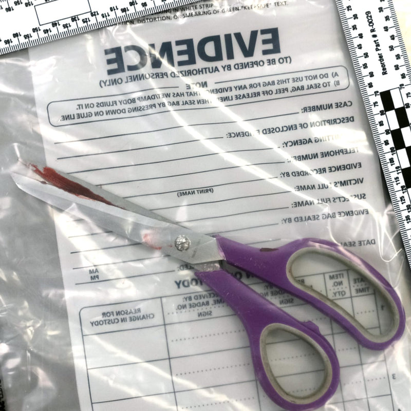 Small Plastic Evidence Bag, 6 x 10 inches, 100pk Small