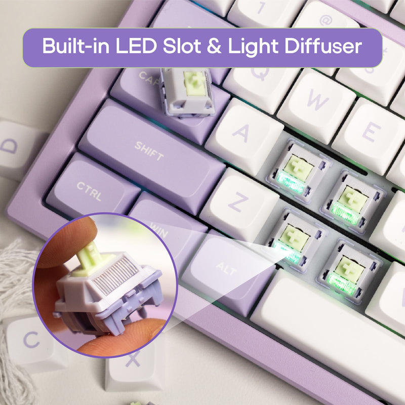 EPOMAKER Wisteria V2 Linear 38gf Keyboard Switches Set, with Light Diffuser, Pre-lubed, 5 Pin Creamy Switch, 35 Pieces for Mechanical Gaming Keyboards