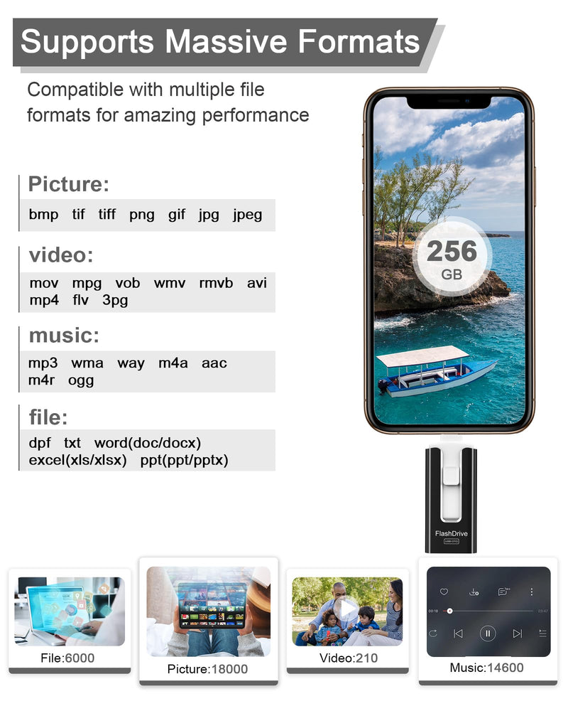 256GB USB Flash Drive for Phone and Pad, Photo Stick High Speed External USB Thumb Drives Photo Storage Memory Stick for Save More Photos and Videos (Black, 256GB) Black